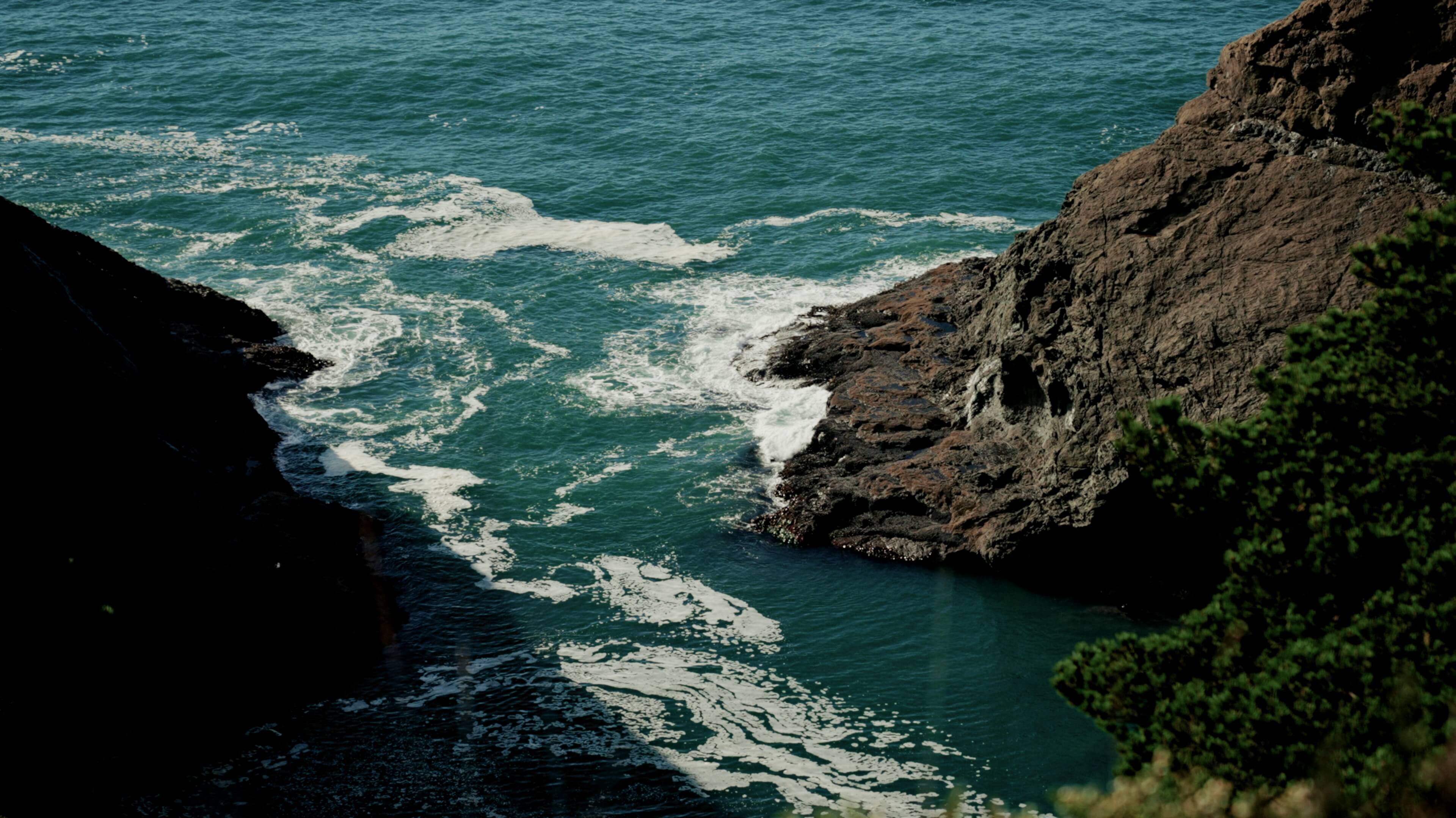 Still from the Port Orford Sustainable Seafood shoot