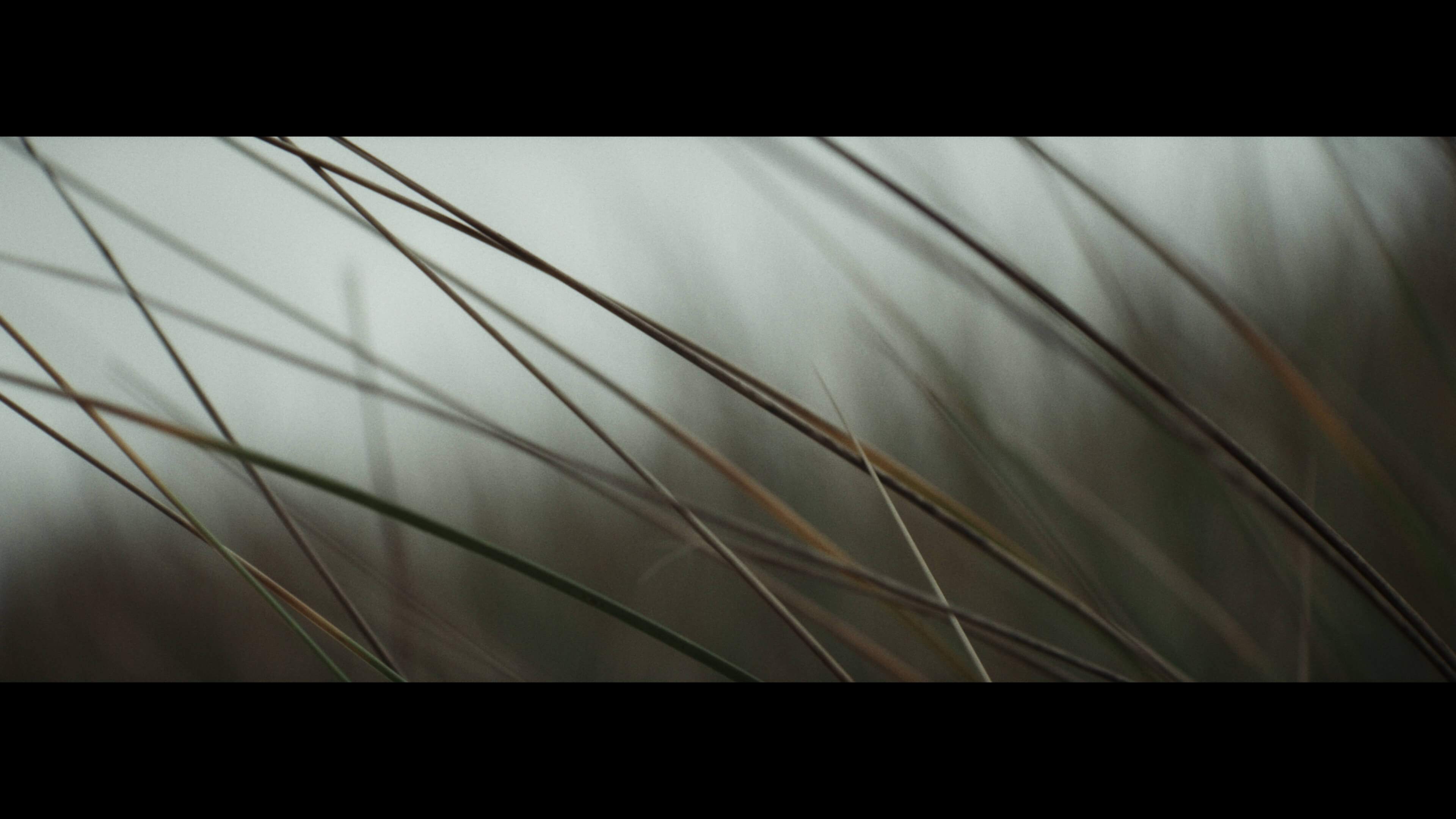 Still from the Port Orford Sustainable Seafood shoot